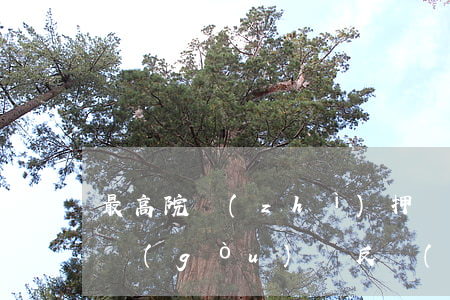 最高院：質(zhì)押監(jiān)管機構(gòu)違反監(jiān)管協(xié)議時應(yīng)當(dāng)承擔(dān)侵權(quán)責(zé)任還是違約責(zé)任？該責(zé)任性質(zhì)是補充責(zé)任還是直接責(zé)任？